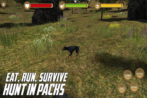 Greyhound Simulator HD Animal Life screenshot 2