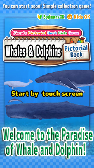 Whales Dolphins of the World -Simple Pictorial Book Kids Game -