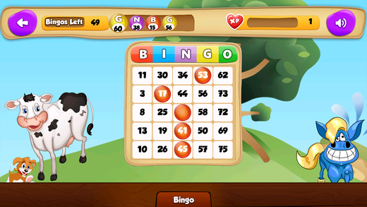 BINGO Casino Game to Play your Luck and Win the Jackpot with Animals