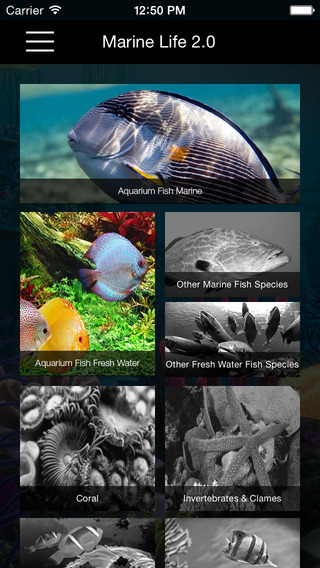 免費下載書籍APP|Marine Life 2.0 Lite app開箱文|APP開箱王