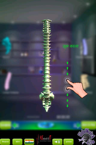 GM4L Spinal Column Game screenshot 3