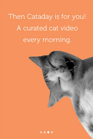 Cataday - Daily curated cat videos screenshot 3