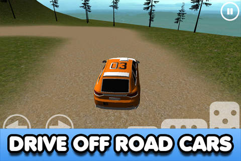 Rally Race - Free Off Road Driving screenshot 2