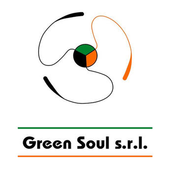 Green Soul LOGO-APP點子