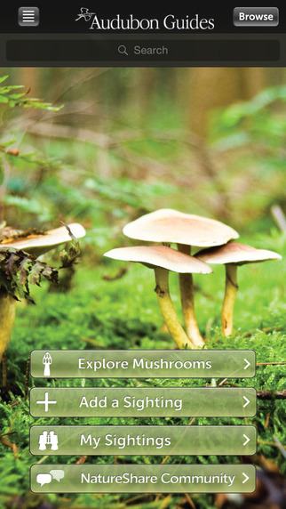Audubon Mushrooms – A Field Guide to North American Mushrooms
