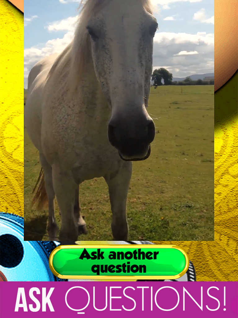 App Shopper Sing with Ozzie the Talking Horse PRO Funny Pet Videos