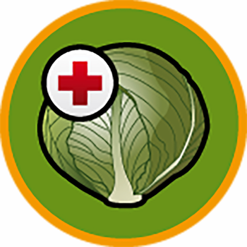 Brassica diseases LOGO-APP點子