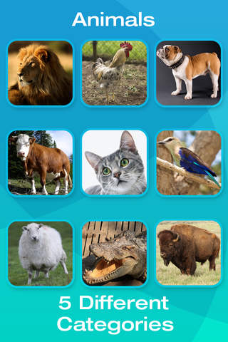 Animal and Tool Picture Flashcards for Babies, Toddlers or Preschool screenshot 4