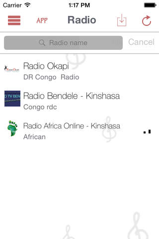 DR Congolese Radio LIve - Internet Stream Player screenshot 4