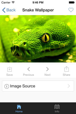 Snake Wallpaper HD screenshot 2