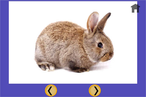 rabbits slots machine for kids - free game screenshot 4