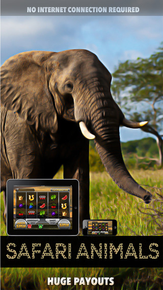 Safari Animals Slots - FREE Slot Game Chase the treasure machine