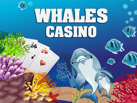 免費下載遊戲APP|Whales Casino Pro app開箱文|APP開箱王