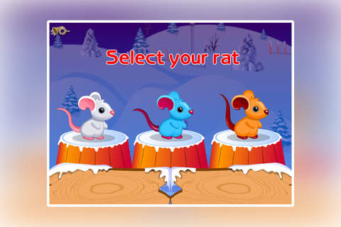 Cute Rat Racing screenshot 4