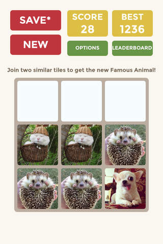 2048 Famous Animal Memes - Puzzle Game About Animals Meme screenshot 4