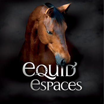 EQUIDESPACES2014 LOGO-APP點子