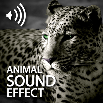 Animal Sound World 書籍 App LOGO-APP開箱王