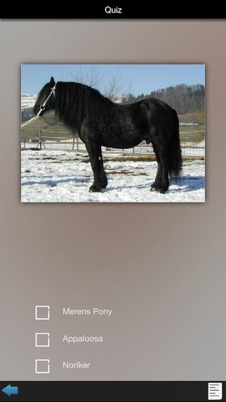 免費下載娛樂APP|Best Horse Breeds app開箱文|APP開箱王