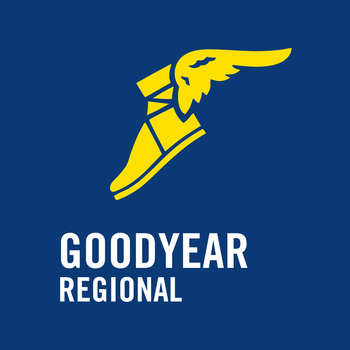 Calculadora Goodyear - Segmento Regional LOGO-APP點子