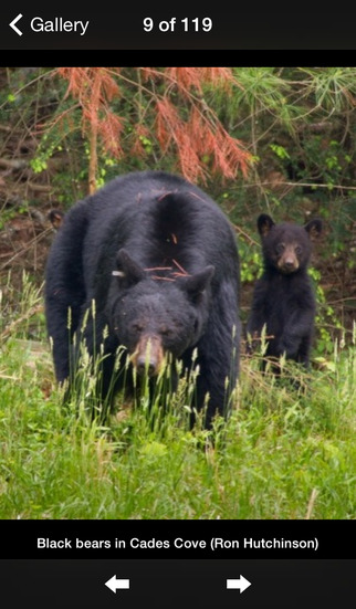 【免費旅遊App】Chimani Great Smoky Mountains National Park-APP點子