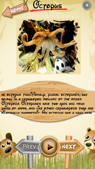 【免費教育App】Letz Learn Animals-APP點子