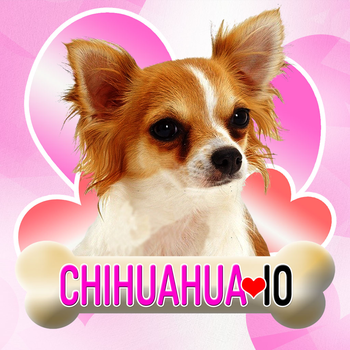 Chihuahua IO LOGO-APP點子