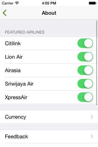 Indonesia Flight Lite screenshot 4