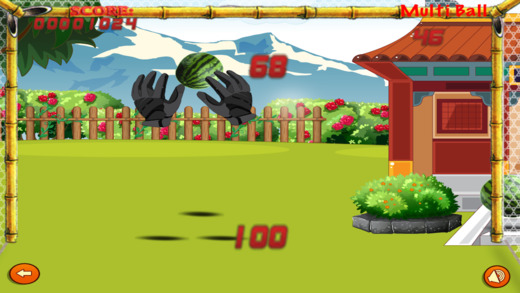 【免費遊戲App】Epic Bird Ninjas - Fruit Slash - Free-APP點子