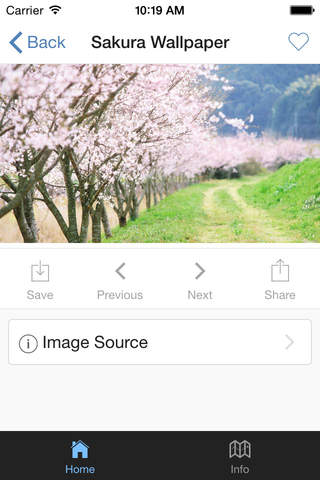 Sakura Wallpaper screenshot 4