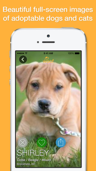 Woof Rescue - Pet Finder for Dog Adoption and Cat Adoption