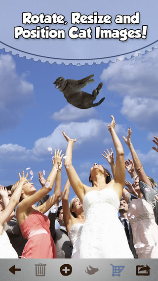 【免費攝影App】Brides Throwing Cats - The Best Wedding Planner Photos Featuring Flying Cat and Kitten Bouquets-APP點子