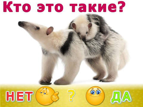 Животные для детей! Развивающие игры для малышей. Детская игра развивалка: детский сад (малыш, ребенок, мальчик, девочка 2, 3, 4 года) Животные для детей! Развивающие игры для малышей. Детская игра развивалка: детский сад (малыш, ребенок, мальчик, девочка 2, 3, 4 года)