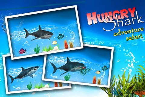 Angry Shark Attack:Mission Seafood:Prey to Survive screenshot 4