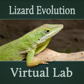 Lizard Evolution Virtual Lab LOGO-APP點子