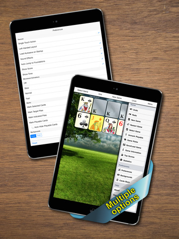 700 Solitaire Games HD for iPad screenshot 4