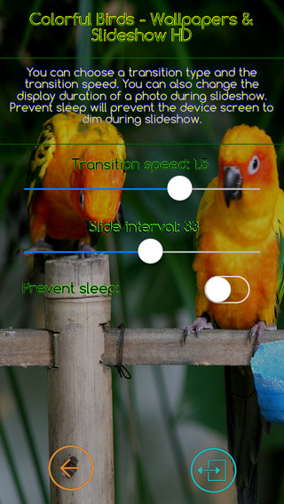 免費下載娛樂APP|Colorful Birds - Wallpapers & Slideshow HD app開箱文|APP開箱王