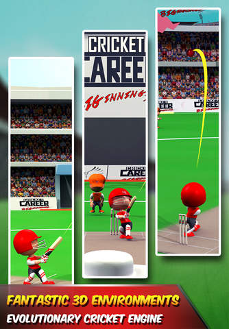 Cricket Career BigInnings 3D screenshot 2