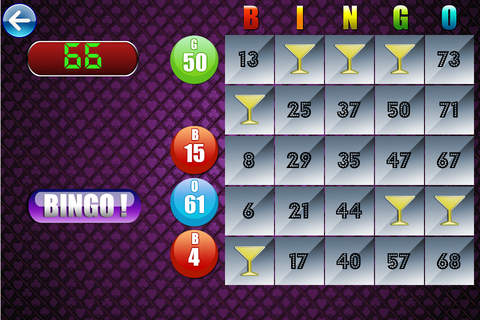 Grand Bingo Party Bash Pro - win jackpot lottery tickets screenshot 2