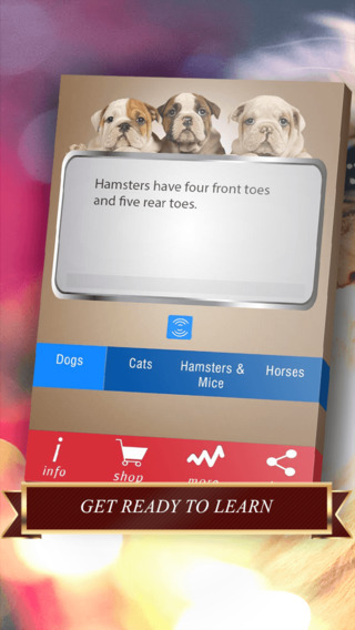 【免費遊戲App】Pets Facts - Free Trivia for Animal Lovers-APP點子