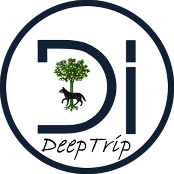 DeepTrip in Lecce LOGO-APP點子