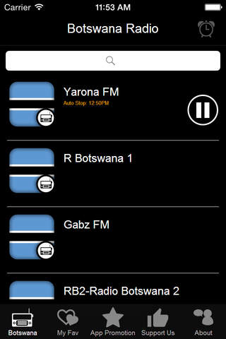 Botswana Radio screenshot 4