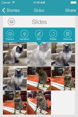 Voyzee: Create, Edit, and Share Your Video Stories screenshot 3