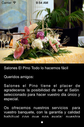 Salones el Pino. screenshot 2