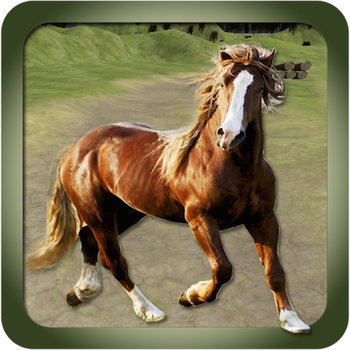 Horse Jumping Adventure 遊戲 App LOGO-APP開箱王
