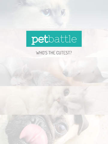 【免費遊戲App】Pet Battle - Who has the cutest dog or cat in town?-APP點子