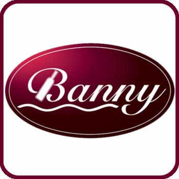 Banny宾利 LOGO-APP點子