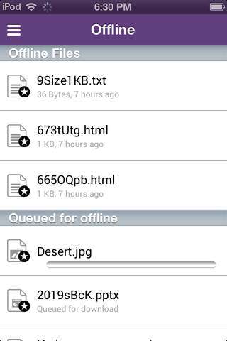 Vembu FileShare screenshot 3