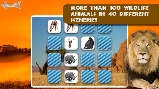 【免費遊戲App】Free Memo Game Wild Animals Photo-APP點子