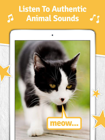 【免費教育App】SO Animals - HD Interactive Animal Flash Cards & Sounds-APP點子