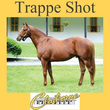 Trappe Shot LOGO-APP點子